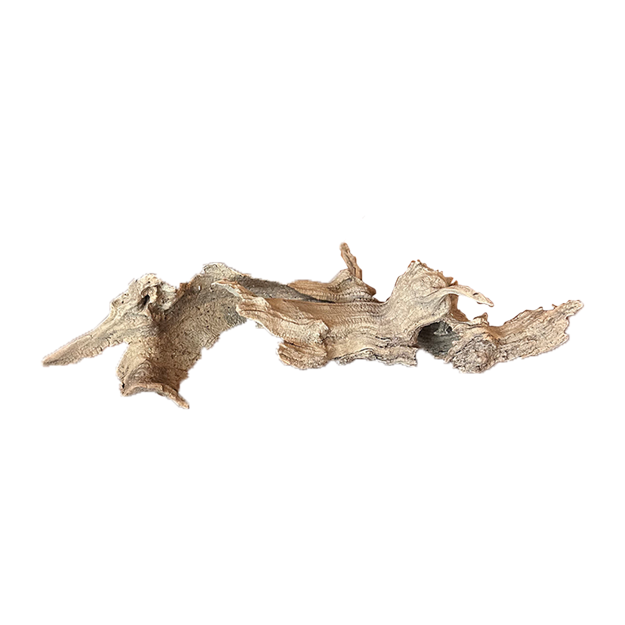 Driftwood